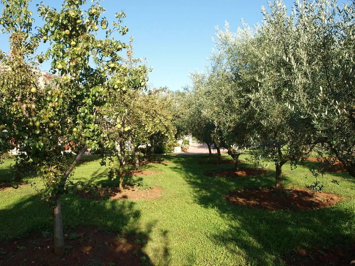 Apartment Villa Brig Tinjan